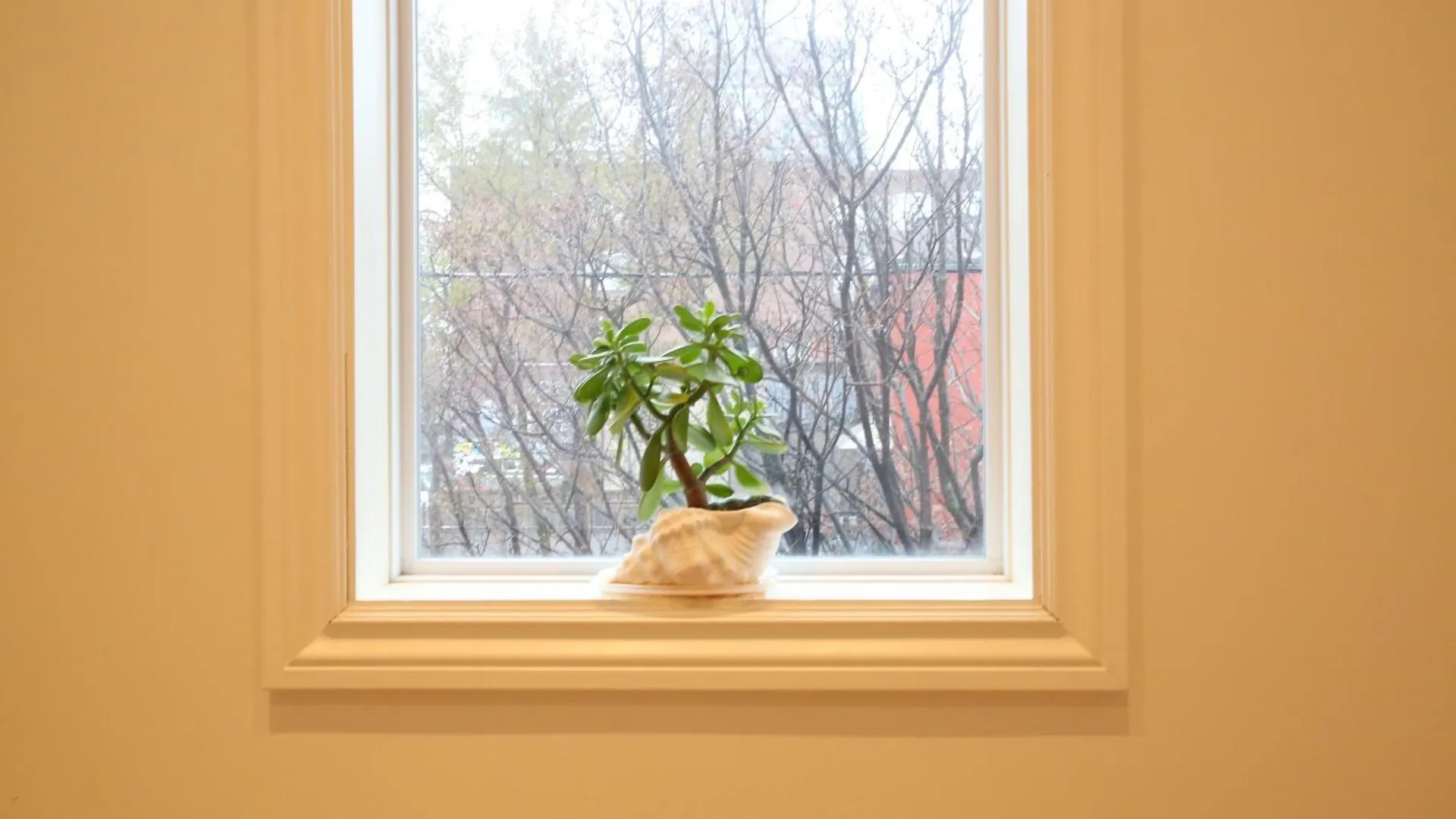 Xiao Wang Bed & Breakfast Toronto